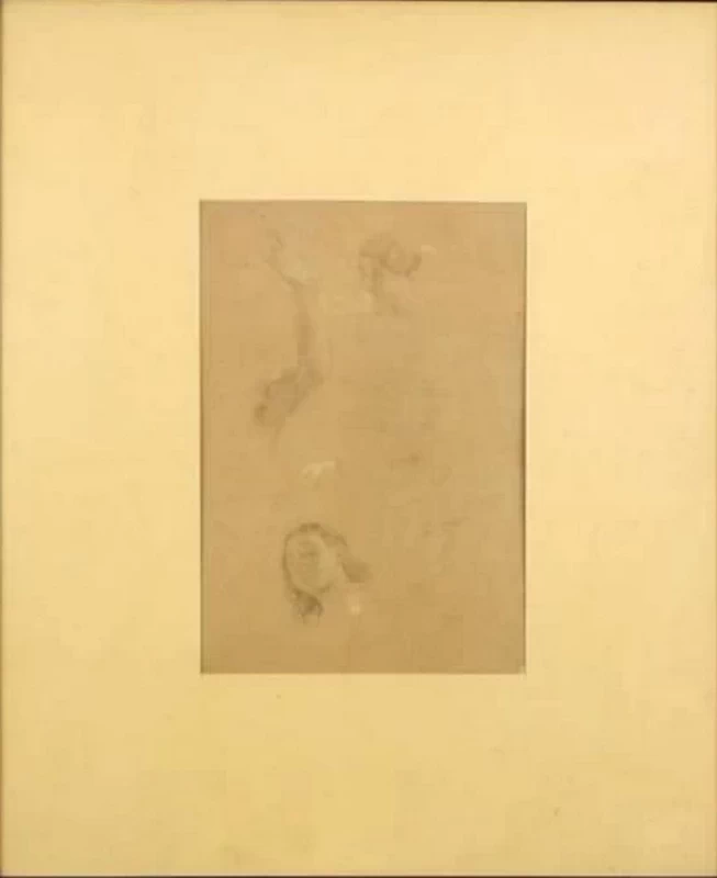 Studi anatomici - Varese